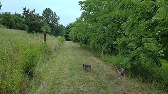 Blue Ridge Manor B&B