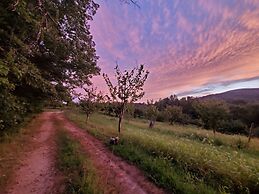 Blue Ridge Manor B&B