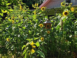 Blue Ridge Manor B&B