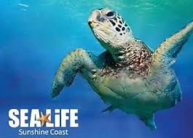 Beachside Resort - Kawana Waters