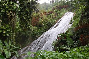 Inn at Shaw Park Gardens & Waterfalls