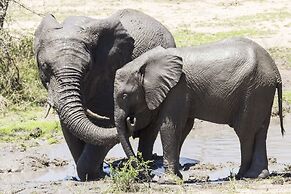 Sefapane Lodges and Safaris