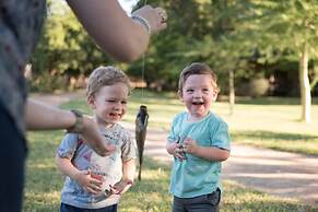 Sefapane Lodges and Safaris