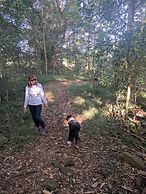 Alstonville Country Cottages