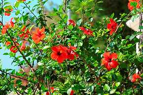 Villa Hermosa Resort