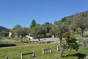 Casas Rurales Aldeaduero