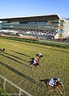 Eureka Palace Hotel Spa Resort