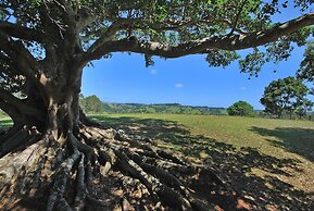 Summerhills Retreat Byron Bay