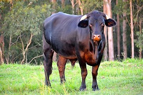 Summerhills Retreat Byron Bay