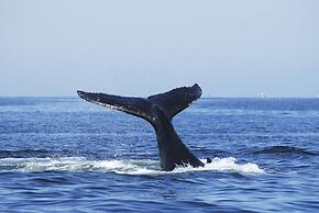 Summerhills Retreat Byron Bay