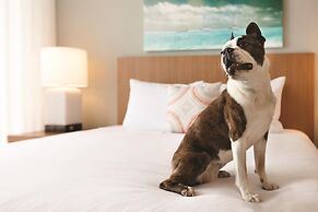 Hyatt House Virginia Beach / Oceanfront
