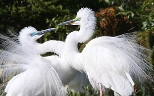 Bella Vista Motel Franz Josef Glacier