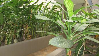 Edge Apartments Cairns