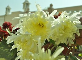 Om Niwas Suite Hotel