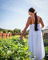 Dosłońce Resort Wellness & Farm