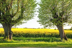 Schlossgut Gross Schwansee