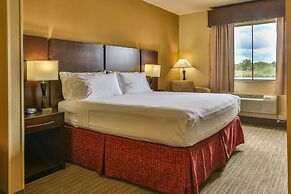 Holiday Inn Express & Suites Houston South near Pearland by IHG