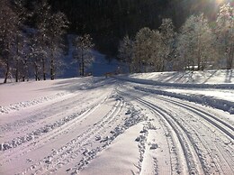 Alfaierhof-Bergheimat