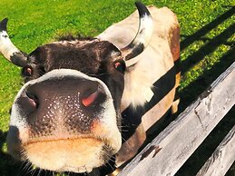 Alfaierhof-Bergheimat