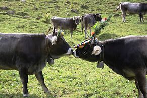 Alfaierhof-Bergheimat