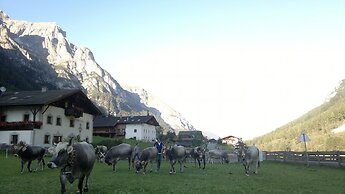 Alfaierhof-Bergheimat