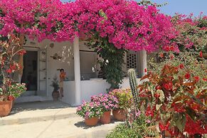 Sun Rock Boutique Suites