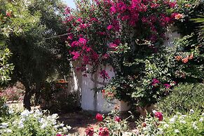 Sun Rock Boutique Suites