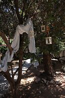 Sun Rock Boutique Suites