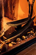 Diez Hotel Categoria Colombia