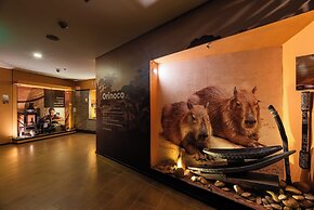 Diez Hotel Categoria Colombia