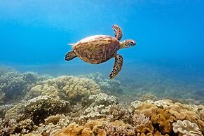 Fitzroy Island Resort