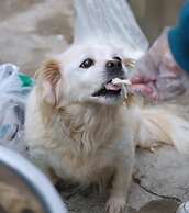Kempinski Hotel Guiyang