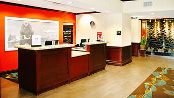 Hampton Inn & Suites San Antonio/Northeast I-35