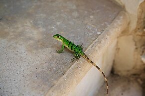 Punta Piedra Beach Posada