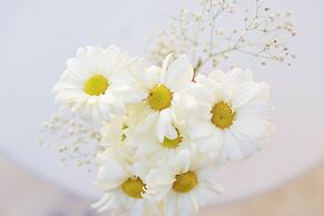 Punta Piedra Beach Posada