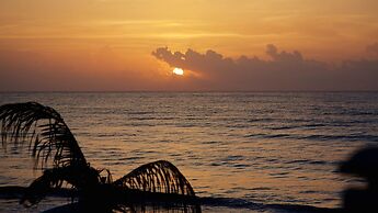 Punta Piedra Beach Posada