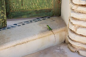 Punta Piedra Beach Posada