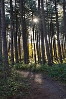 Zoomers aan het Bos