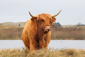 Zoomers aan het Bos