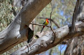 BIG4 Deniliquin Holiday Park