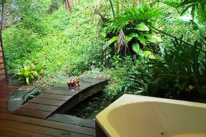 Mt Warning Rainforest Retreat