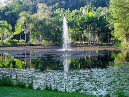 Mt Warning Rainforest Retreat