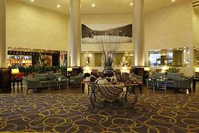 Golden Tulip Hail