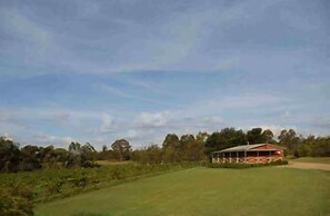 Cabins on Halls