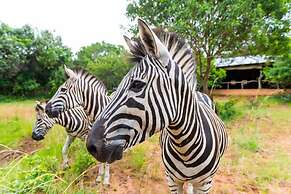 Leopard Walk Lodge