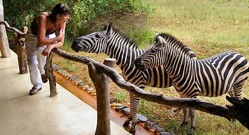 Leopard Walk Lodge