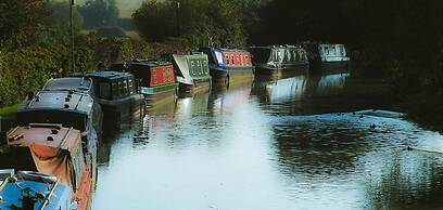 Elm Tree Farm Accommodation