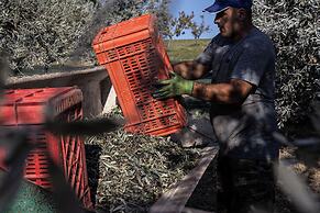Podere l'Agave