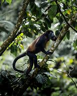 Hideaway Rio Celeste