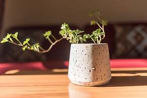 Central Park Motor Lodge